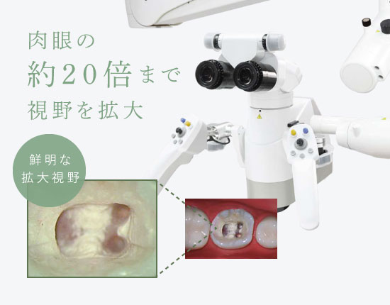 肉眼の約20倍まで視野を拡大